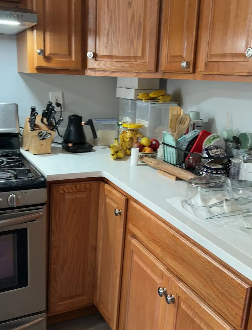1 bed, $800 — Photo 1