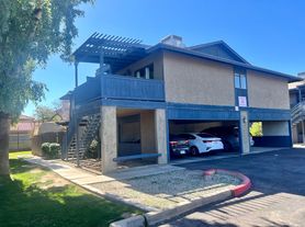 286 W Palomino Dr