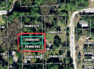 0 NE 1st St, Steinhatchee, FL 32359