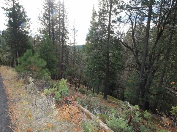 1757 Patricia Ln, Arnold, CA 95223