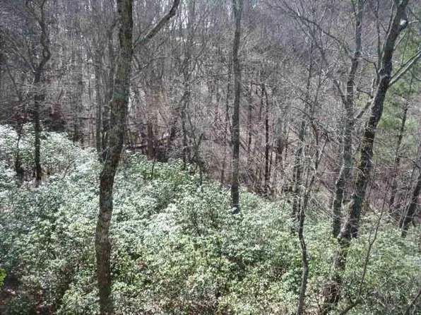 84 Beech Fern Knl, Jasper, GA 30143