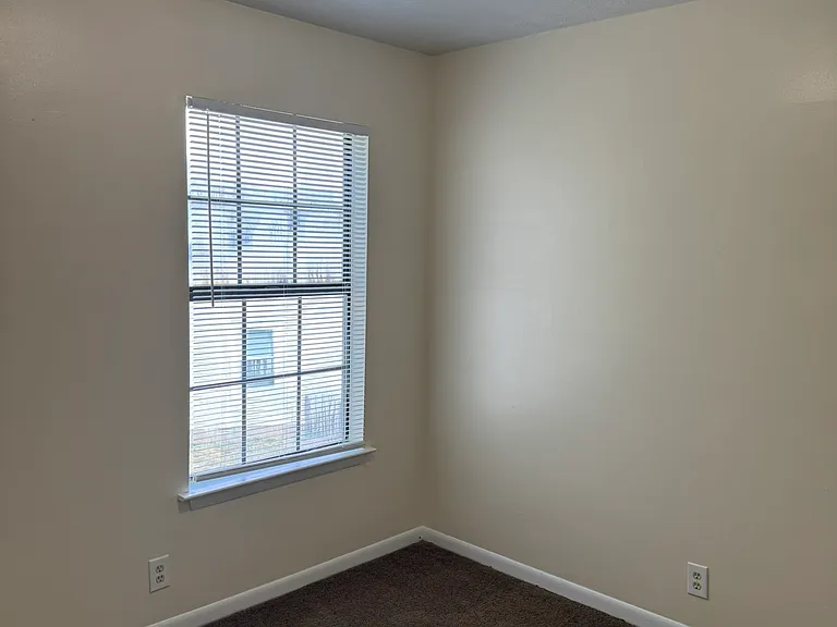 1308 Ewing Creek Dr — Photo 11