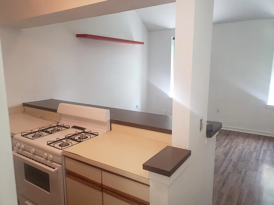 Galley kitchen with bar counter into living area