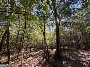 12 Hollis Norman Rd, Tignall, GA 30668