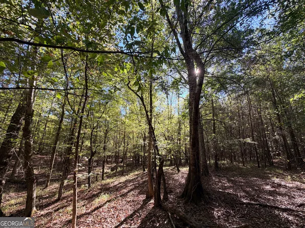 12 Hollis Norman Rd, Tignall, GA 30668