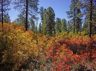 7 Road N, Mancos, CO 81328
