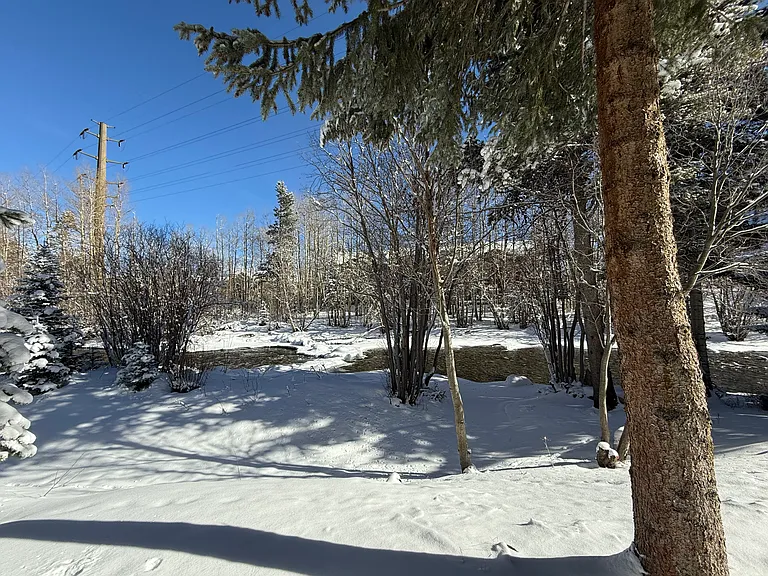 101 Forest Dr #D — Photo 21
