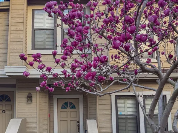 991 La Mesa Ter Unit D, Sunnyvale, CA 94086