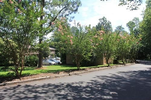 5th image of D5 Shepherd Ln