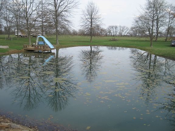 Pond: Slide not included