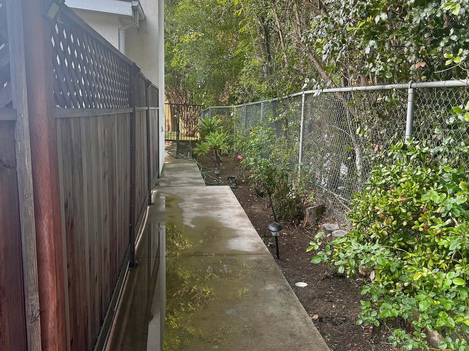 Studio, 350 sqft, $1,700 — Photo 4