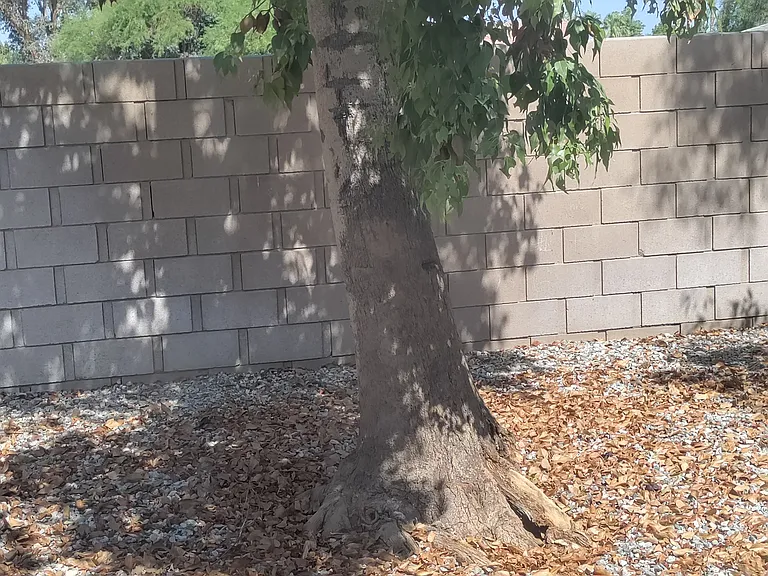 32652 Pueblo Trl #1 — Photo 5