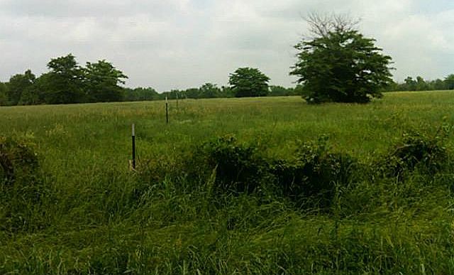 1st image of 6872 Farm Road 275 S