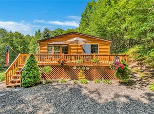 380 Bendzunas Rd, Hamden, NY 13782