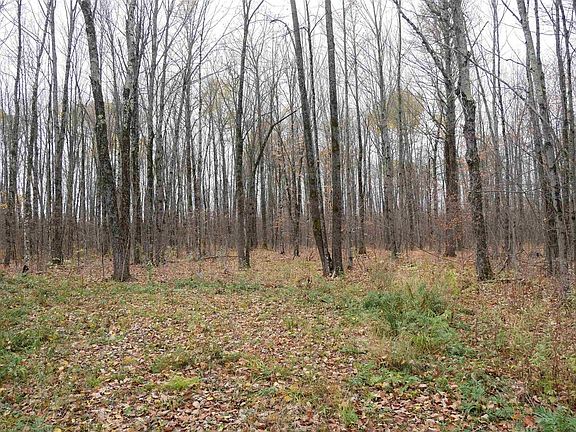 4th image of 4.70 Acres US HIGHWAY 8