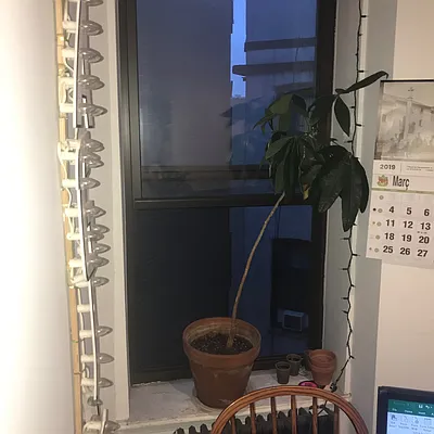 Rented by Chartwell Manhattan Realty | media 17