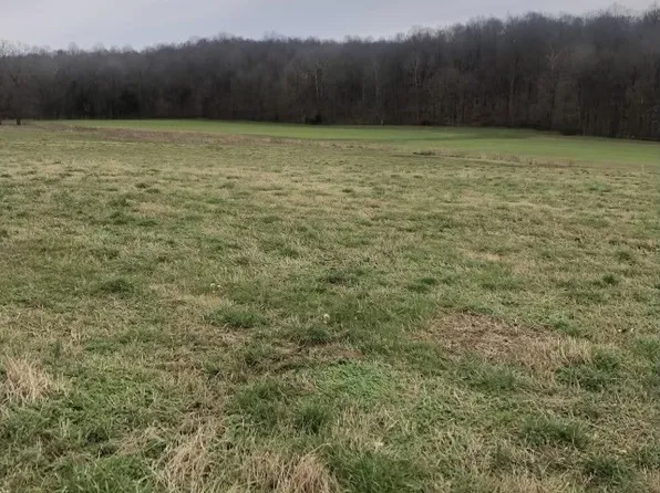 0 Thomasville Rd Lot 14, Chapmansboro, TN 37035