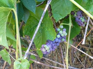 1941 NW Brockway Rd, Winston, OR 97496