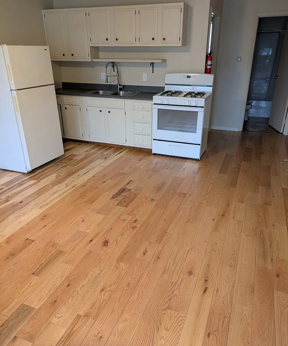 1 bed, $900 — Photo 1