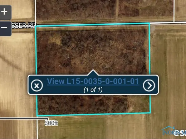 0 Blosser Rd, Ney, OH 43549