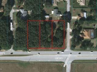 9100 SE Highway 42, Summerfield, FL 34491