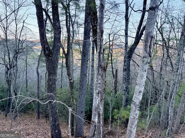 0 Timber Bluff Dr, Clayton, GA 30525