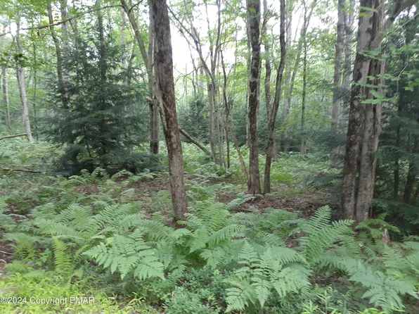 A143 Rosewood Dr, Jim Thorpe, PA 18229