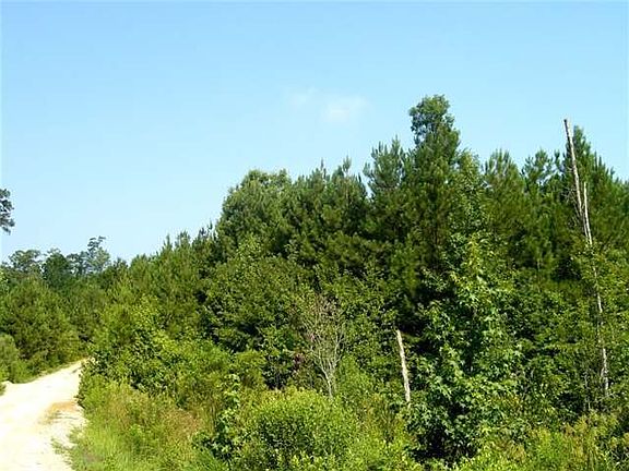 2nd image of TBD Pineywood Church Road