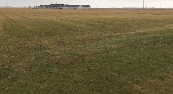 Lots of open space.