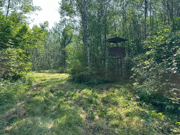 Xx Caraway Rd, Emily, MN 56447