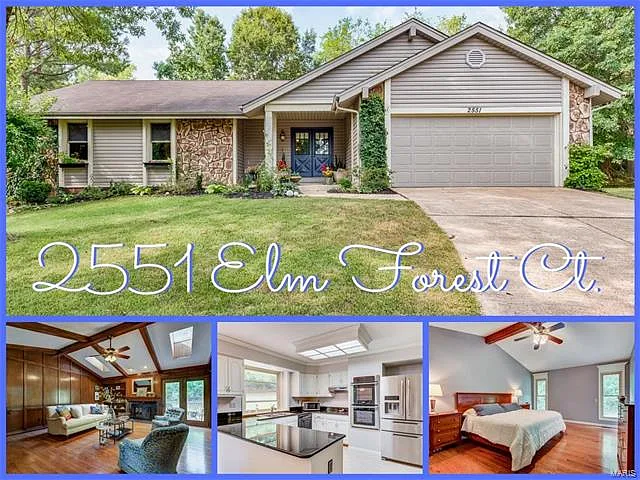 2551 Elm Forest Ct photo 1