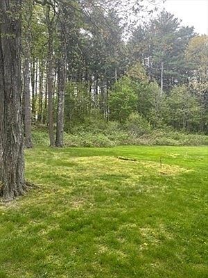 3rd image of 563 Concord Rd