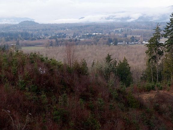 5th image of 40541 Panorama Pl