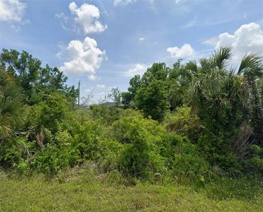 12113 Claremont Dr, Pt Charlotte, FL, 33981