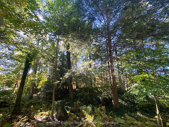 5th image of 611 Tuscarora Rd