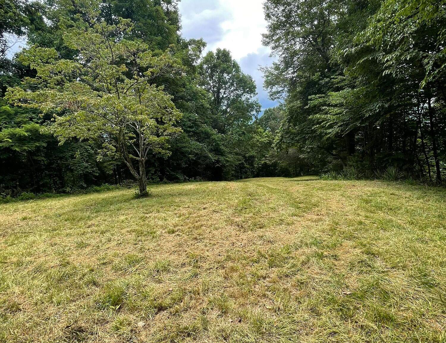 Raven Cliff Rd, Erwin, TN 37650 | MLS #9968673 | Zillow