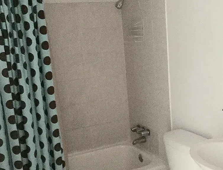 4013 Nashville Ave #2 — Photo 5
