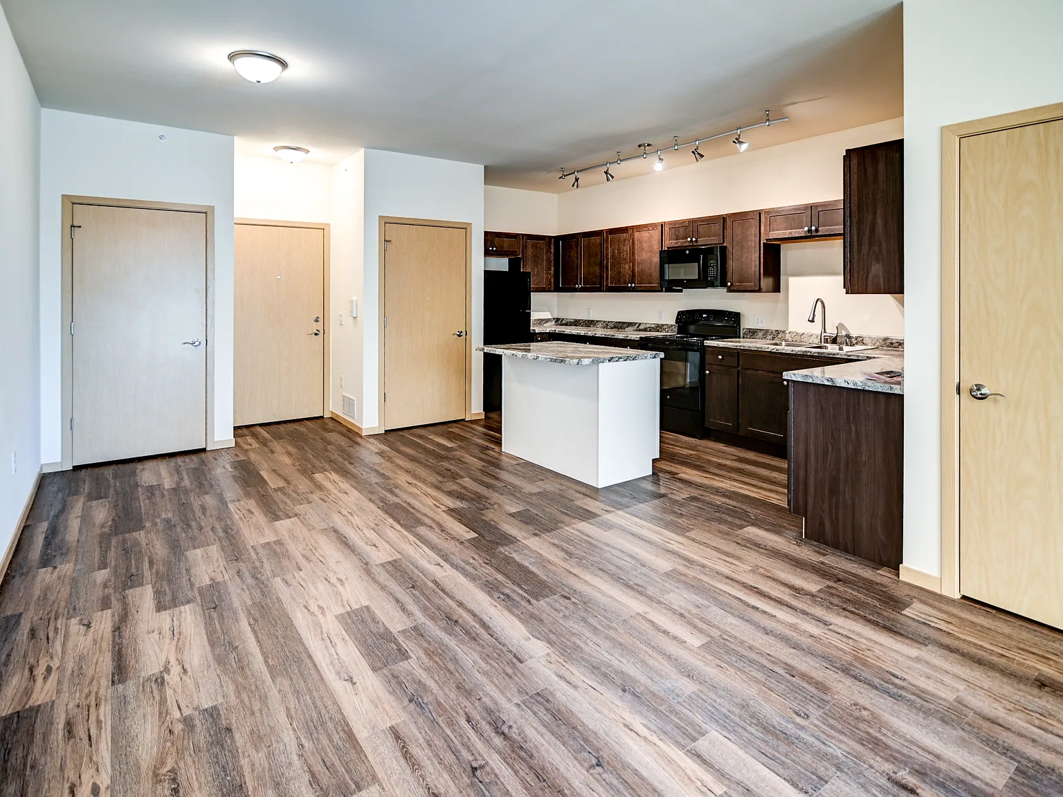 1 bed, 1000 sqft, $1,500 — Photo 3