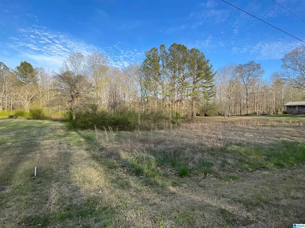 Payne Ln, Pell City, AL 35125