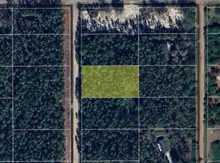 10620 Delgado Ave, Hastings, FL 32145