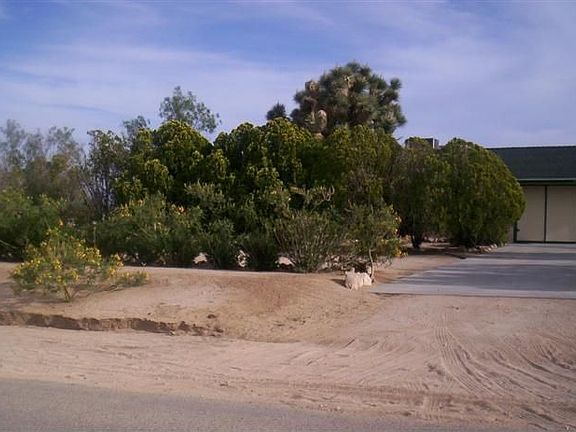 Front View - Privacy
