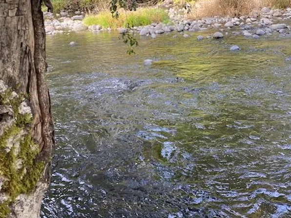 3375 Salmon River Hwy, Otis, OR 97368