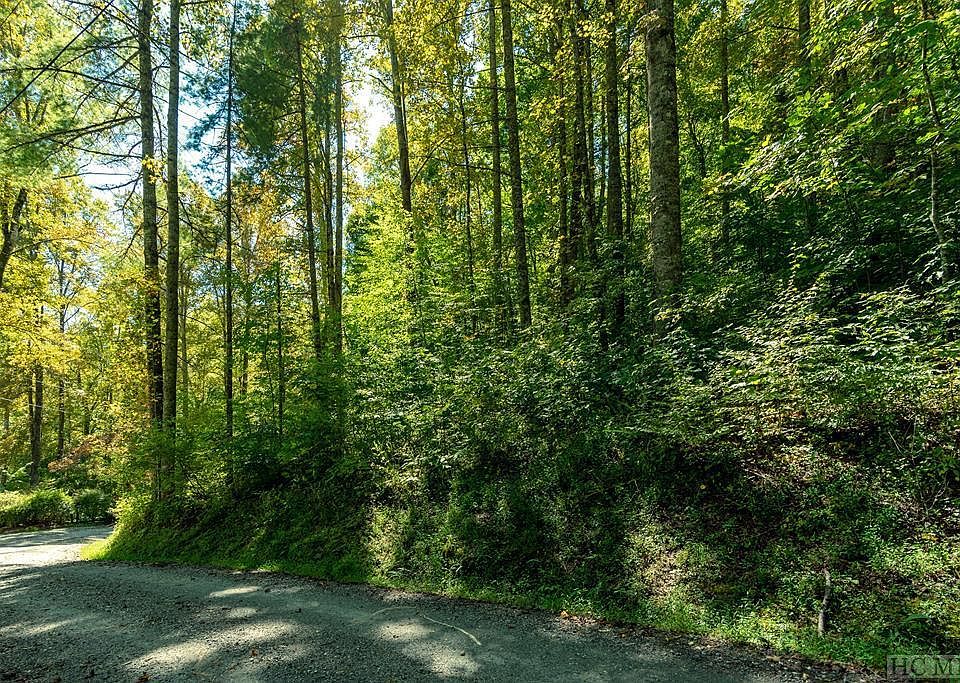 16 Cullowhee Forest Rd, Cullowhee, NC 28723 | MLS #103098 | Zillow