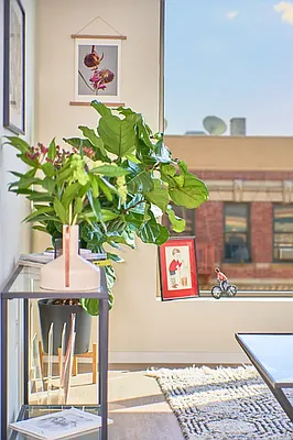 Rented by Living New York | media 29