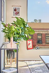 Rented by Living New York