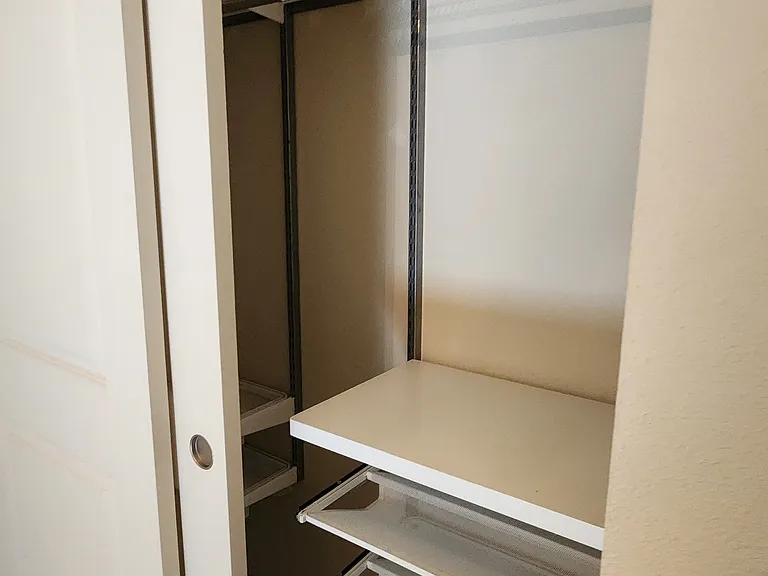 Closet with Elfa storage system