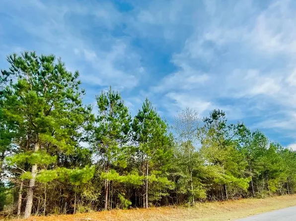 0 Bethlehem Church Rd, Fitzgerald, GA 31750