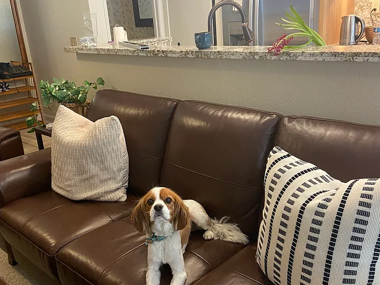 1st floor living room