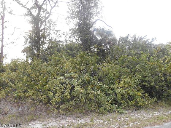 3rd image of 1515 Palmetto Ave