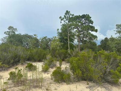 NE 85th St, Bronson, FL, 32621